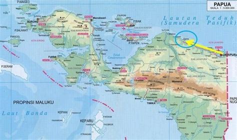 Jadwal Kapal Cantika Lestari Jayapura ke Mamberamo Raya - KATA OMED