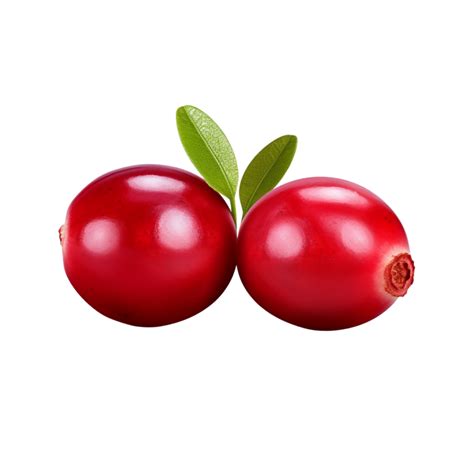 Ai Generated Cranberry Clip Art 40185006 Png