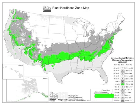 Zone 7 Gardening Guide: Mastering the USDA Hardiness Zone 7 Landscape ...