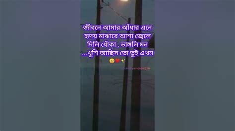 হৃদয় মাঝারে আশা জ্বেলেদিলি ধোঁকা ভাঙ্গলি মনখুশি আছিস তো তুই এখন