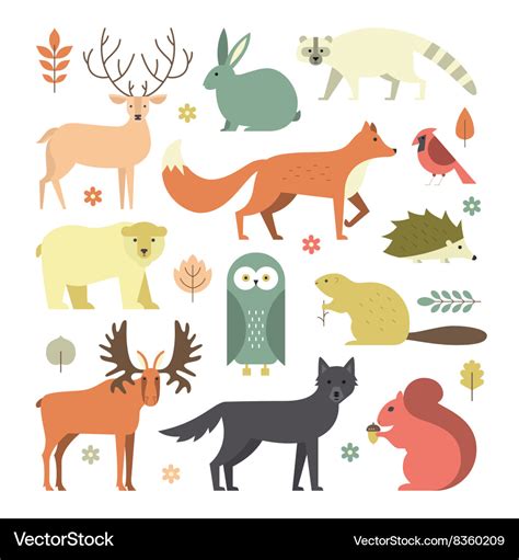 Forest animals Royalty Free Vector Image - VectorStock