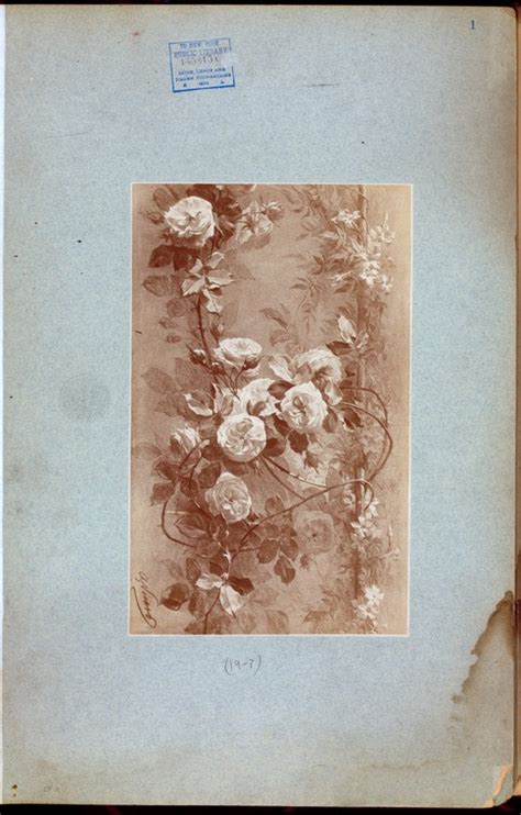 Flowers Nypl Digital Collections