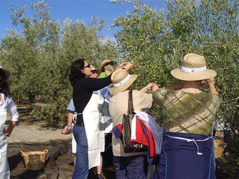 VISITA GUIADA ALMAZARA DE ACEITE Y BODEGA GetYourGuide