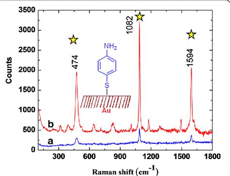 Sers Studies Of Agnp Using Aloe Vera Plant Extract Peaks Appeared At