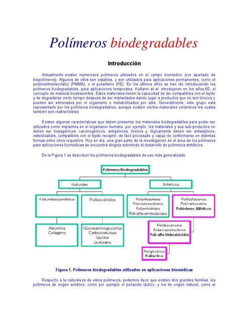 Polímeros Biodegradables Pdf Biocombustible Biodiésel