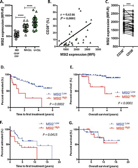 High Msi Levels Correlate With Poor Clinical Course And Outcome In