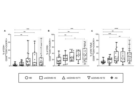cd null  cell phenotype  cmv seropositive individuals pie charts