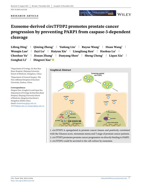 Pdf Exosomederived Circtfdp Promotes Prostate Cancer Progression By