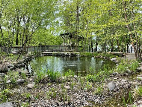 Westwood Hills Nature Center - Westopolis