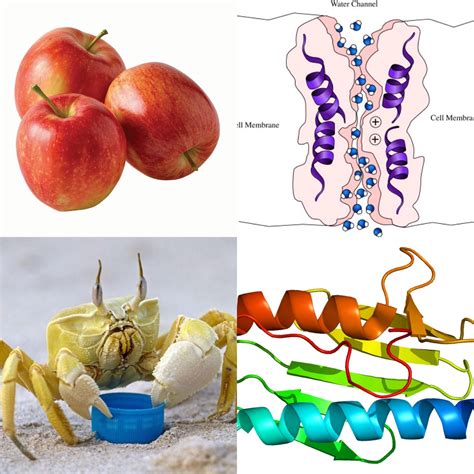 484 best Ap Bio images on Pholder | AP Students, Sappho And Her Friend