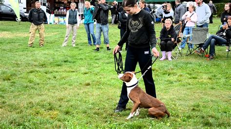 Fedor Wc Czech Working Dogs Show 2012 Youtube