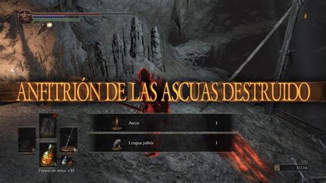 Dark Souls Invasion Pvp Pacto De Rosaria Lenguas P Lidas En