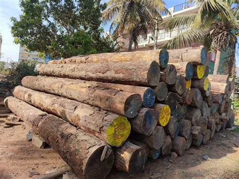 Brown Pine Wood Round Logs At Best Price In Bengaluru Id