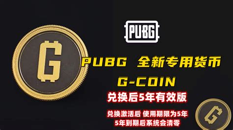 Pubg 全新专用货币 G Coin兑换后5年有效版cdkey激活码兑换码充值卡游戏账号 Igxe电竞饰品交易平台