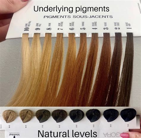 schwarzkopf simply color chart - Alyse Gilliam