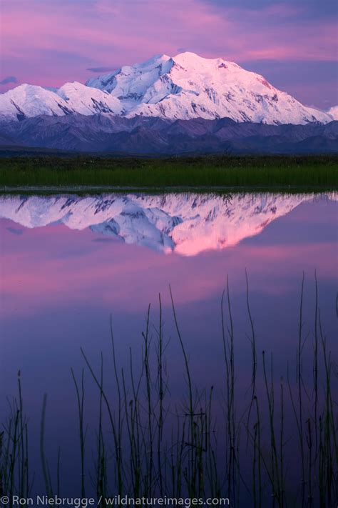 Denali Reflection | Denali National Park, Alaska. | Photos by Ron Niebrugge