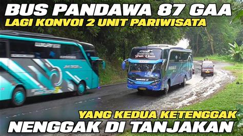 Bus Pandawa Nenggak Bus Budiman Sugeng Rahayu Imas Putra Braga