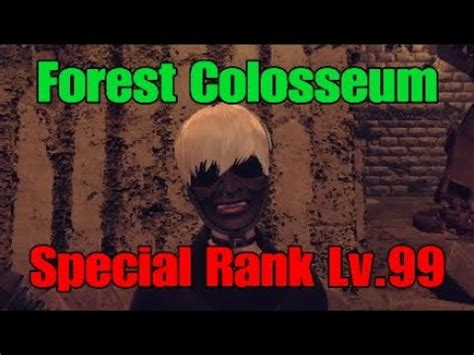 Special Rank Underground Colosseum Lv Forest Arena S Nier