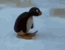 Pinggu Penguin Walking GIF | GIFDB.com