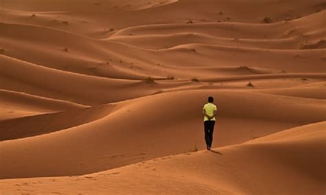 D Sert De Dunes De Sable En Tunisie L Exp Rience Inoubliable