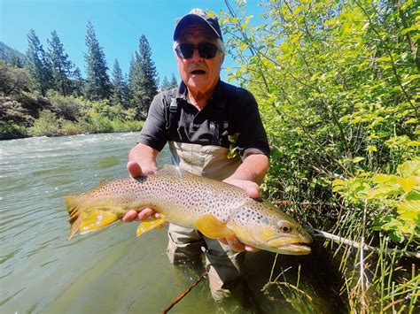 Truckee River Fly Fishing Report June 2 2023 Gilligan S Guide Service