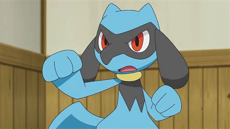 Pin On Riolulucario Pokemon Alola Anime Pokemon Art