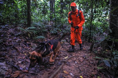 Governo do Rio envia cão farejador para atuar nas buscas por fugitivos