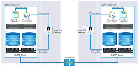 Netapp All Flash San Array Vmware Vsphere