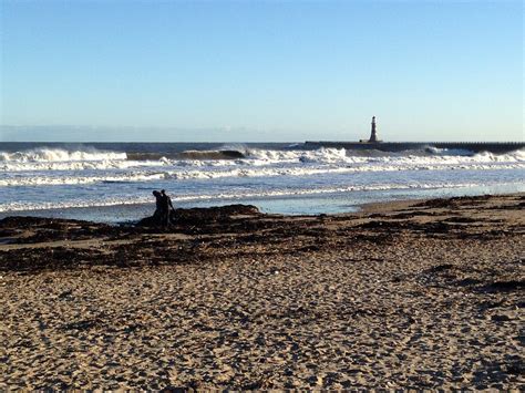 THE 15 BEST Things to Do in Sunderland - 2024 (with Photos) - Tripadvisor