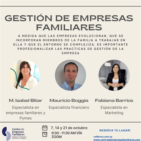 Profesionalizaci N De La Ef Centro De Empresas Familiares