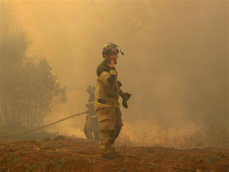 Onemi Declaró Alerta Roja Para San Rosendo Por Incendio Forestal