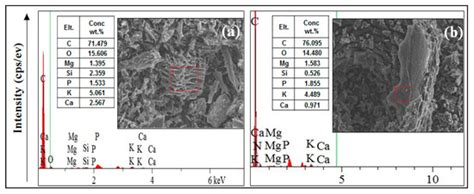 Biomolecules Free Full Text Fractionation Of Heavy Metals In Multi