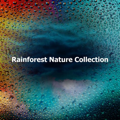 Rainforest Nature Collection Album By Rain Sounds Nature Collection