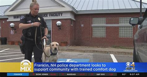 Franklin, NH police department supports community with comfort dog ...