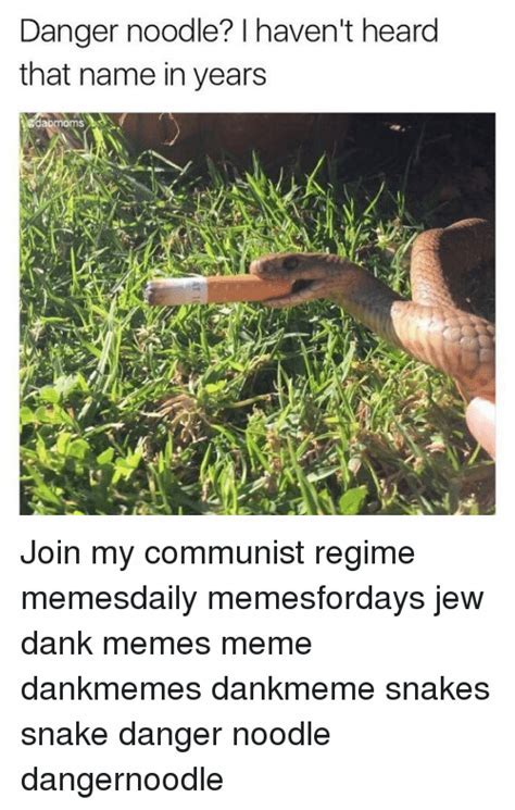 Danger noodle Memes