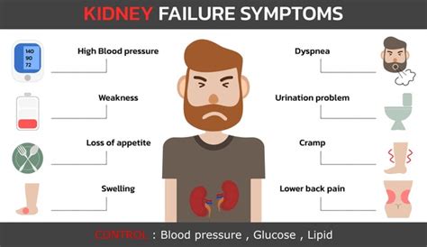 Acute Kidney Failure: Over 120 Royalty-Free Licensable Stock Vectors ...