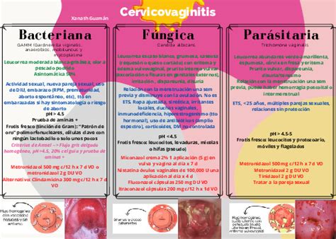 Pdf Cervicovaginitis Gcx