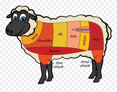 Cuts Meat Sheep Tips - Cuts Of Meat For Sheep Clipart (#294816 ...