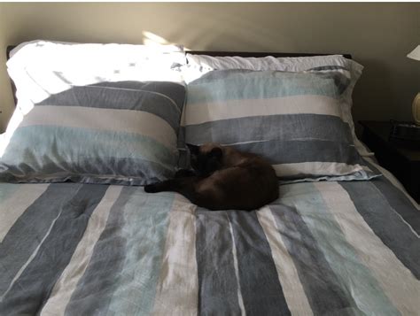 On Making your Bed – esterinaanderson.com