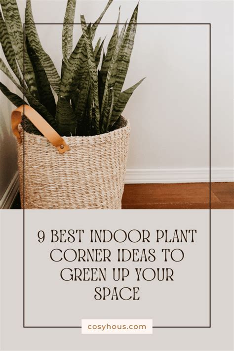 Best Indoor Plant Corner Ideas To Green Up Your Space Cosy Hous