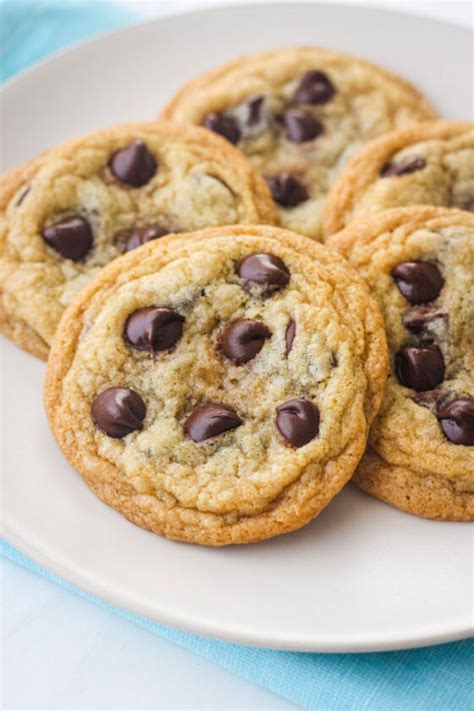 Toaster Oven Chocolate Chip Cookies Easy Small Batch Recipe