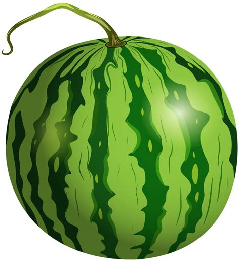 Watermelon Transparent Background 15099998 PNG