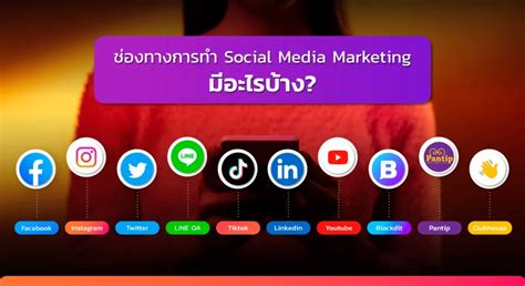 Social Media Marketing คืออะไร ทำความรู้จักการตลาดบนโลกออนไลน์ Cart Biz