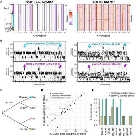 Single Cell DNA Seq Characterizes Clonal Composition And Evolution In