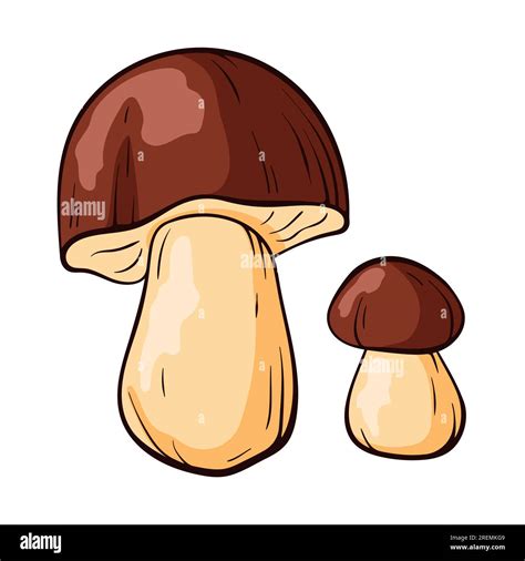 Mushroom Boletus In Cartoon Style Sketch Hand Drawn Food Drawing