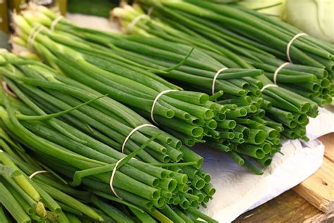 All About Spring Onions Minneopa Orchards