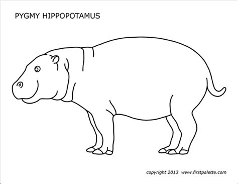 Pygmy Hippopotamus | Free Printable Templates & Coloring Pages ...