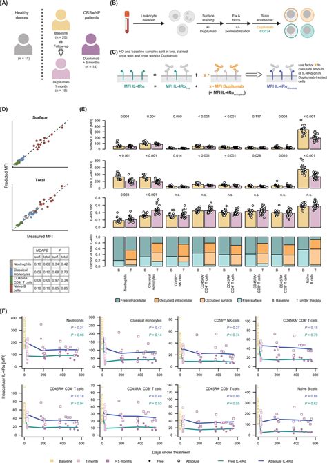 Dupilumab Is Internalized But Does Not Occupy All Intracellular Il R