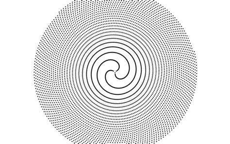 Phyllotaxis explained / Fil | Observable