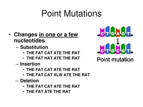 Ppt Mutations Powerpoint Presentation Free Download Id2146301